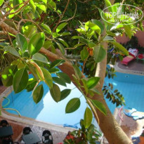 фото из отзыва ID 99579