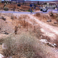 фото из отзыва ID 995038