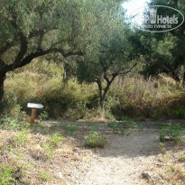 фото из отзыва ID 995209