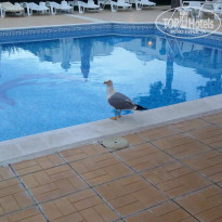 фото из отзыва ID 995303