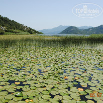 фото из отзыва ID 995278