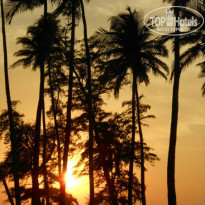 фото из отзыва ID 995621