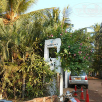 фото из отзыва ID 995621