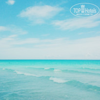 фото из отзыва ID 995659