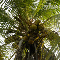 фото из отзыва ID 995659