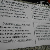 фото из отзыва ID 995698