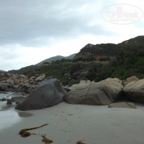 фото из отзыва ID 995805