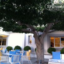 фото из отзыва ID 995449