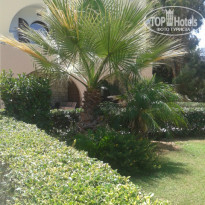 фото из отзыва ID 995615