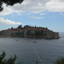 фото из отзыва ID 996072