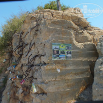 фото из отзыва ID 996167