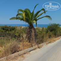 фото из отзыва ID 996167