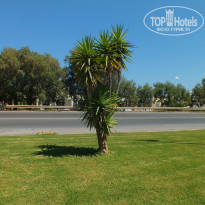 фото из отзыва ID 996167