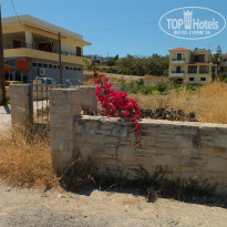 фото из отзыва ID 996167