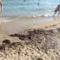 фото из отзыва ID 996419