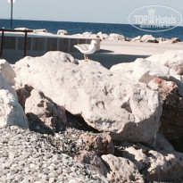 фото из отзыва ID 996470