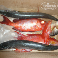 фото из отзыва ID 996906