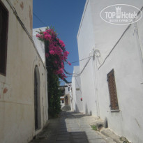 фото из отзыва ID 996578