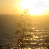 фото из отзыва ID 996578