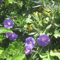 фото из отзыва ID 996578