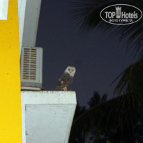 фото из отзыва ID 996325