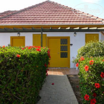 фото из отзыва ID 99779