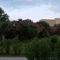 фото из отзыва ID 997128