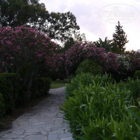 фото из отзыва ID 997128