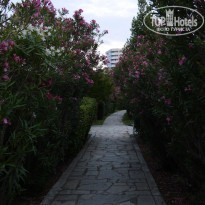 фото из отзыва ID 997128