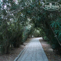 фото из отзыва ID 997128