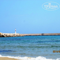 фото из отзыва ID 997343