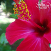 фото из отзыва ID 997466