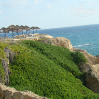 фото из отзыва ID 997542