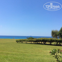 фото из отзыва ID 997561