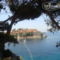 фото из отзыва ID 997602