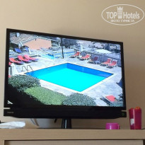 фото из отзыва ID 997661