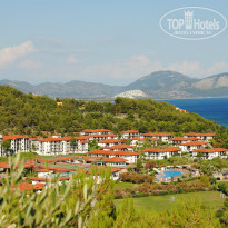 фото из отзыва ID 997824