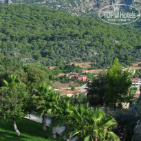 фото из отзыва ID 997824