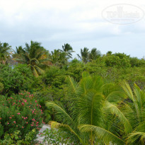 фото из отзыва ID 998259