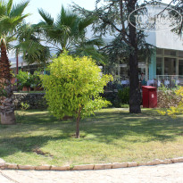 фото из отзыва ID 998385