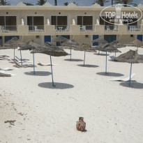 фото из отзыва ID 998606