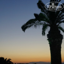 фото из отзыва ID 998827