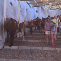 фото из отзыва ID 998947