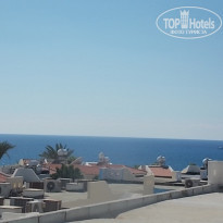 фото из отзыва ID 998940