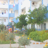 фото из отзыва ID 998045