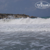 фото из отзыва ID 999074