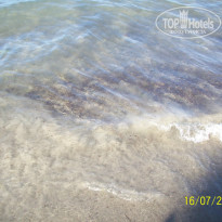 фото из отзыва ID 999401