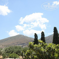 фото из отзыва ID 999420