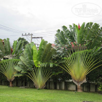 фото из отзыва ID 999371