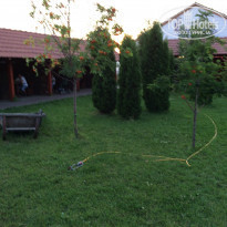 фото из отзыва ID 999461